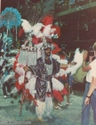 Carnaval em Ribeirão (21)