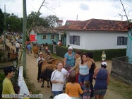 Carro de Boi em Ribeirão
