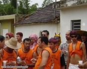 Pereira 2007 (4)