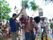 Pereira 2009 (5)